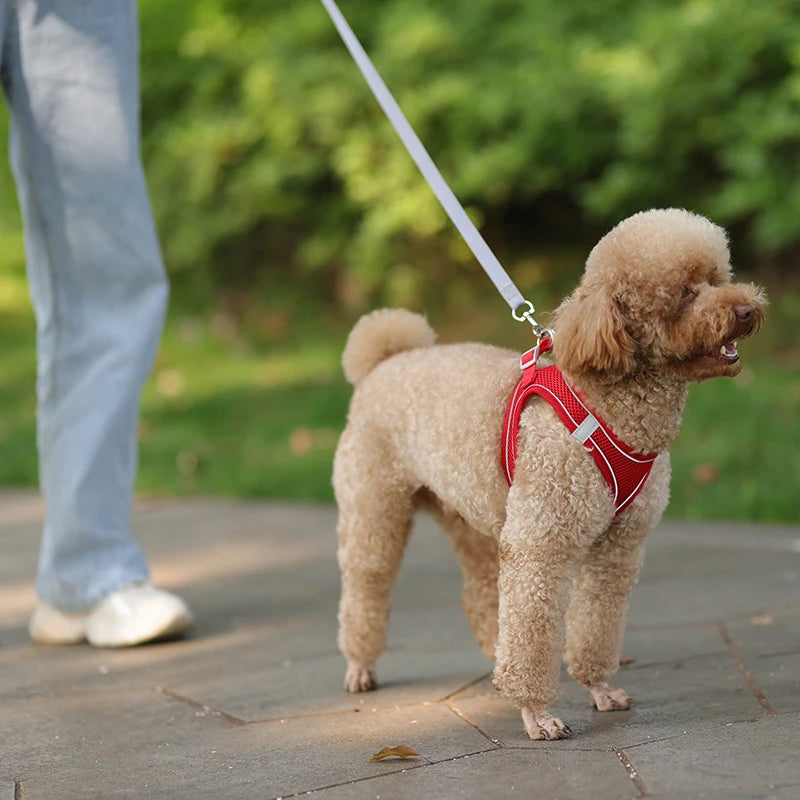 Adjustable Dog Harness & Leash Set