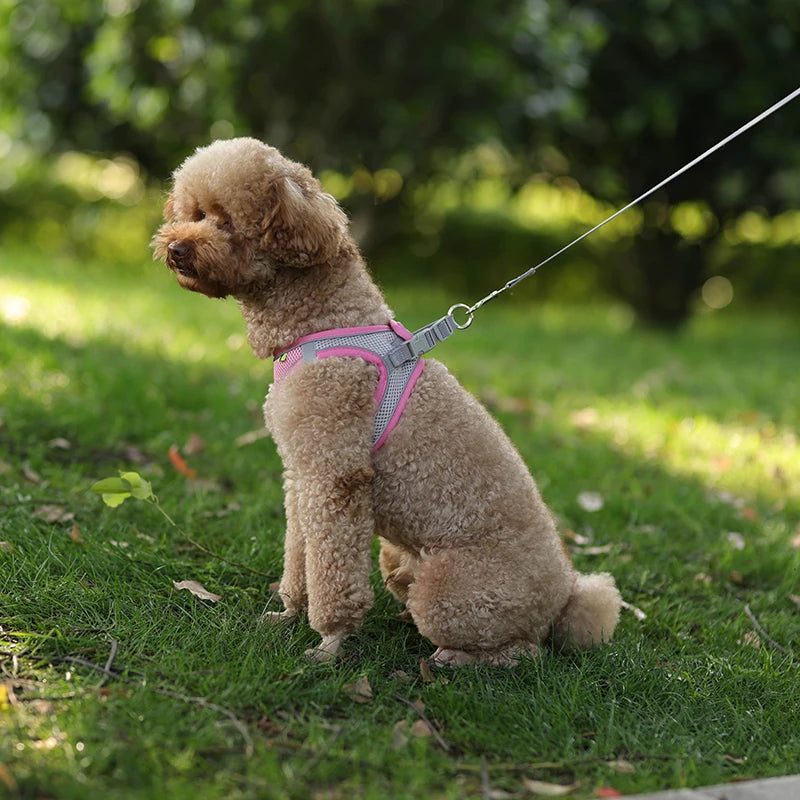 Adjustable Dog Harness & Leash Set