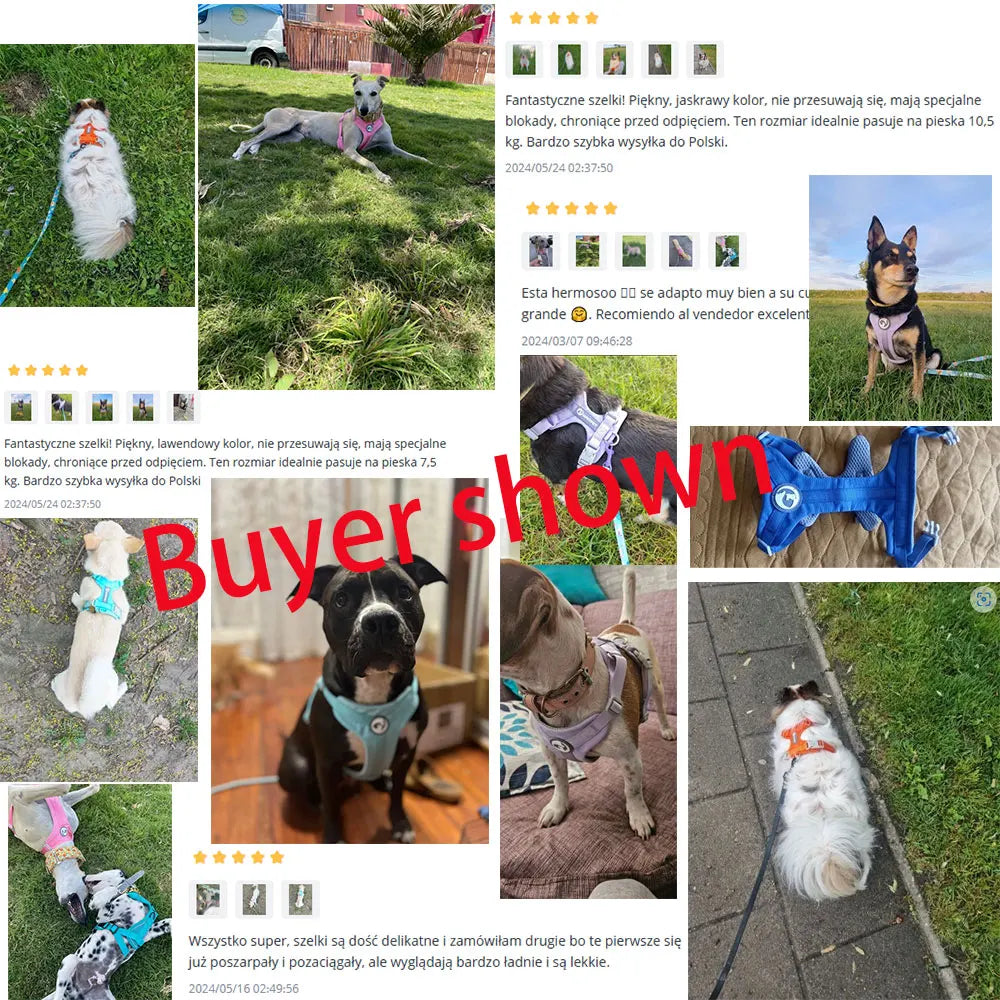No-Pull Reflective Dog Harness Vest