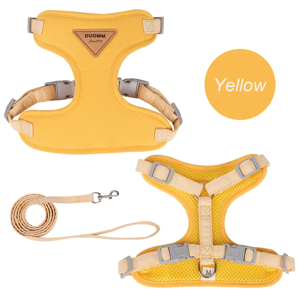 Fashionable Pet Harness & Leash Set