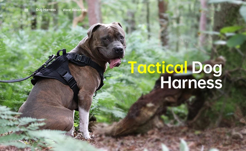 Tactical Military Dog Harness & Leash Set