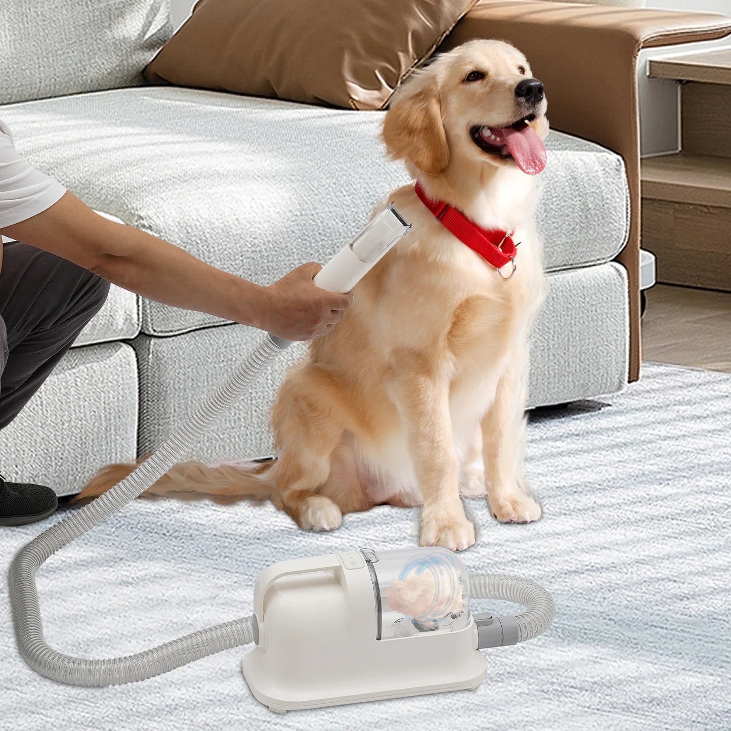 3-in-1 Pet Hair Grooming Tool Set