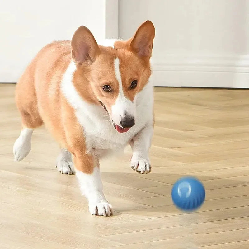 Smart Interactive Moving Dog Toy Ball