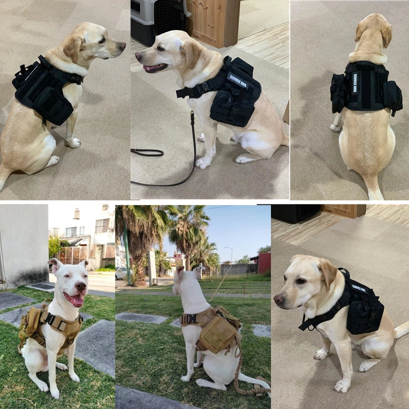 Tactical Military Dog Harness & Leash Set