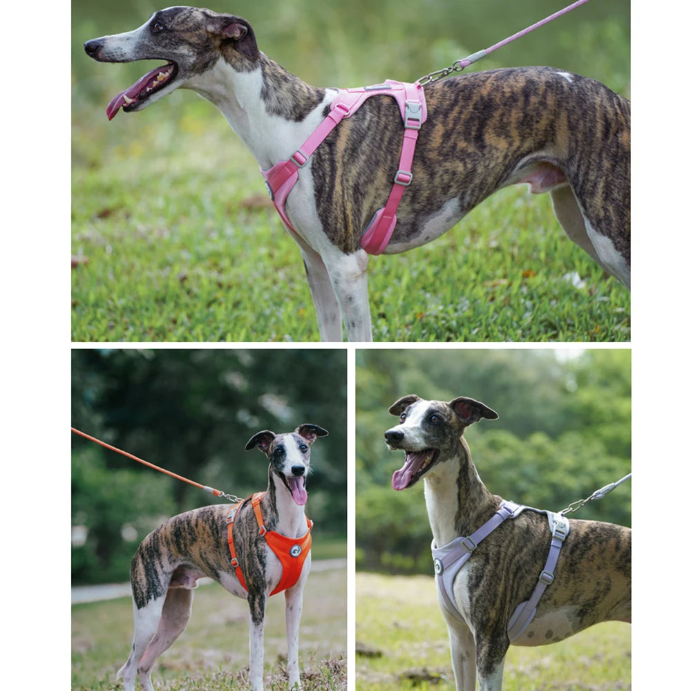 No-Pull Reflective Dog Harness Vest