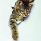 3D Cute Cat Removable Wall Sticker