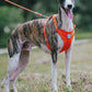 No-Pull Reflective Dog Harness Vest