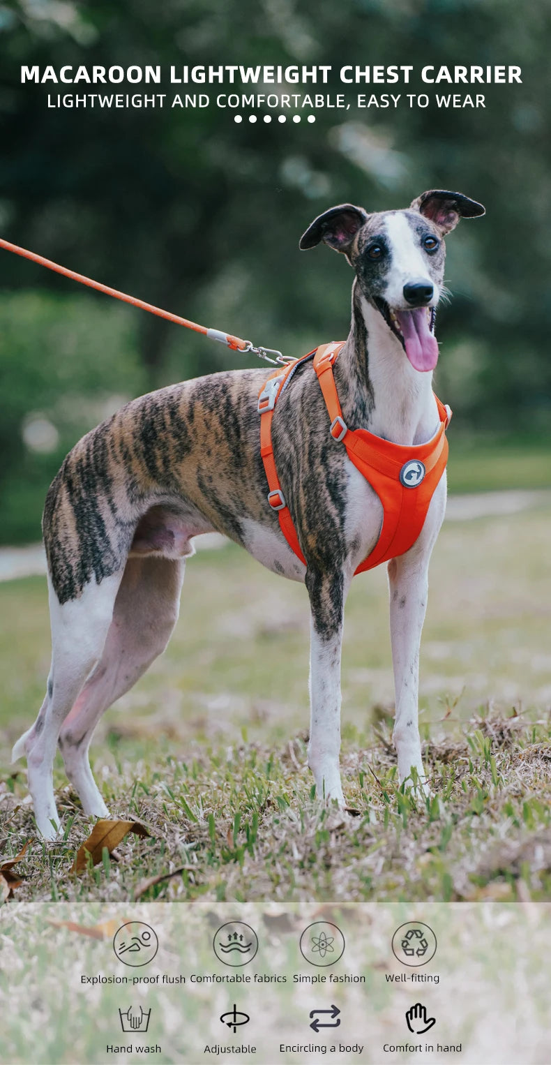 No-Pull Reflective Dog Harness Vest