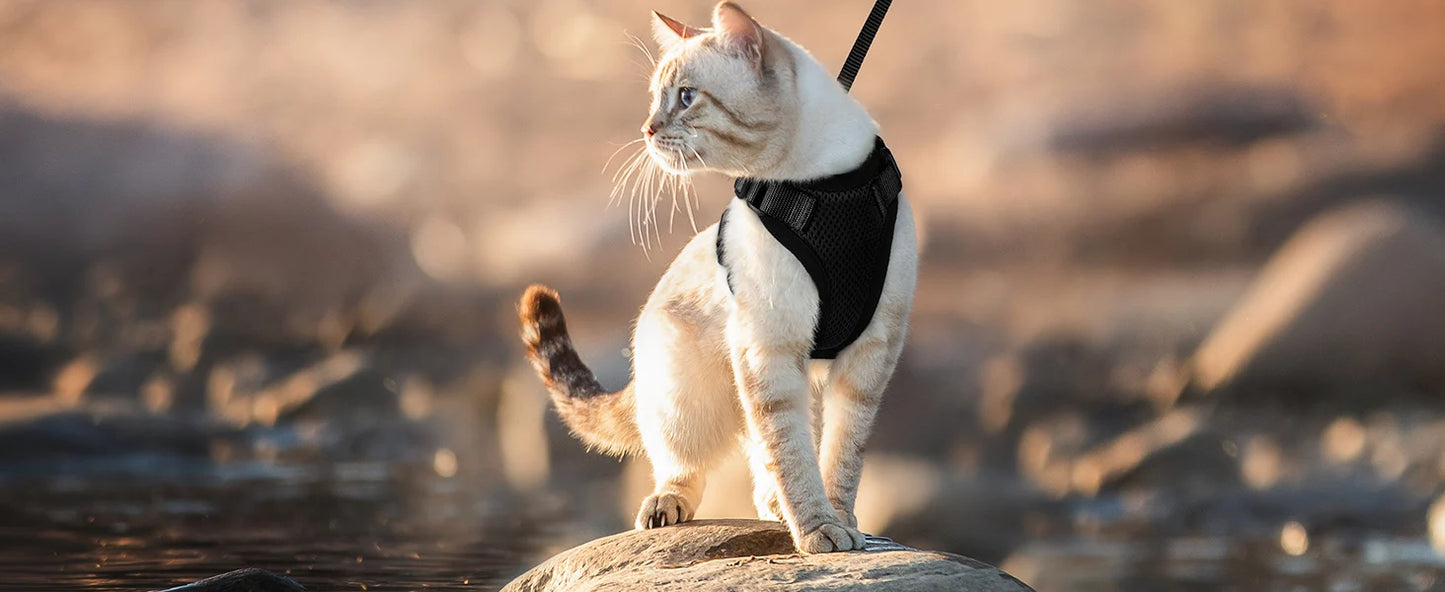 Escape-Proof Adjustable Cat Harness & Leash