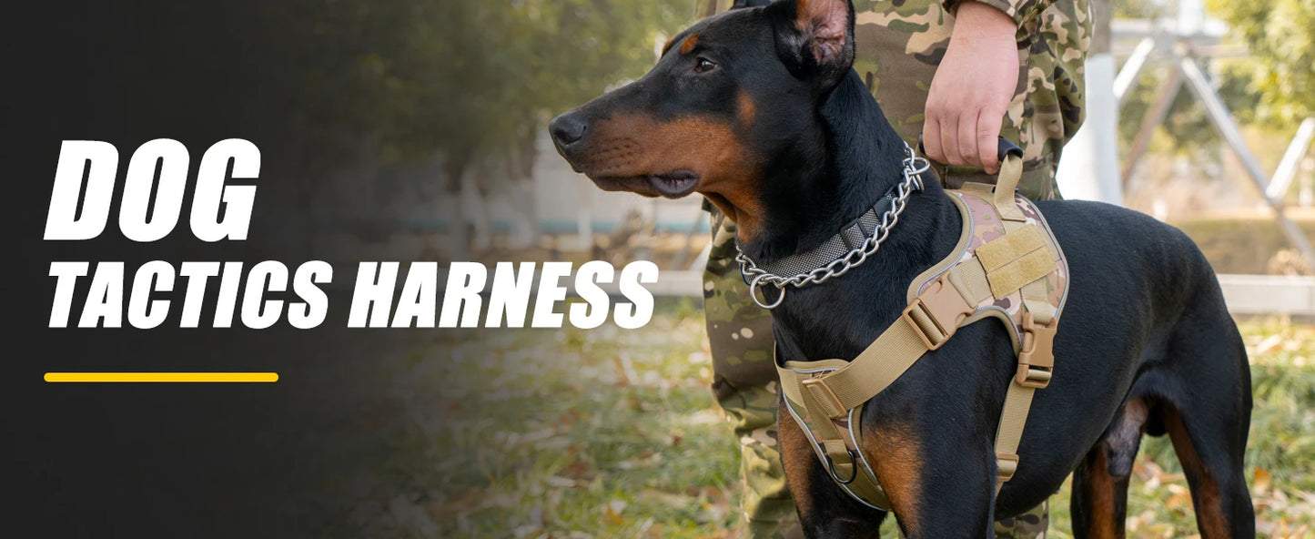 Tactical Dog Training Harness