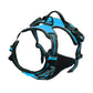 Dog Collar, Harness & Leash Set