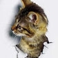 3D Cute Cat Removable Wall Sticker