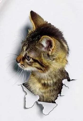 3D Cute Cat Removable Wall Sticker
