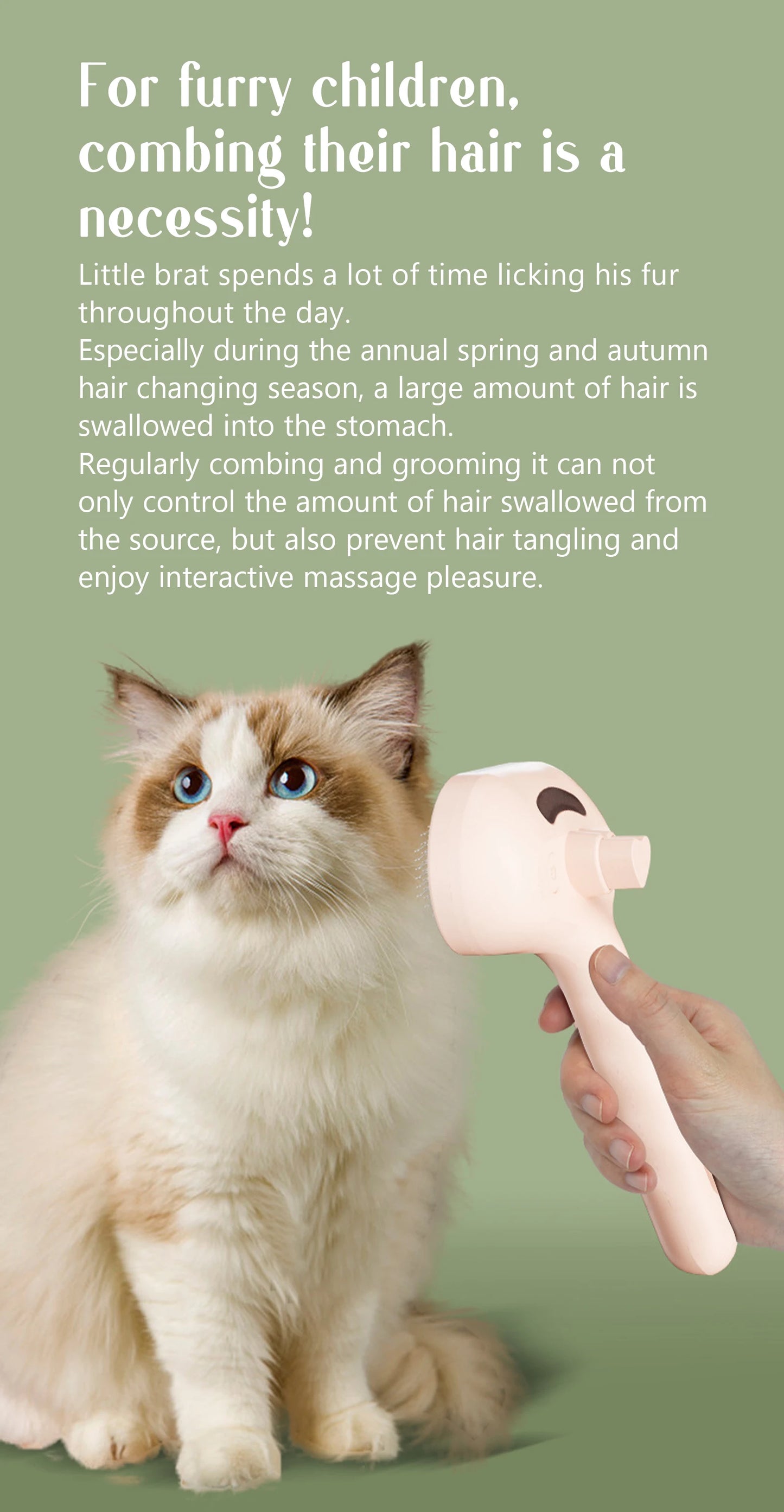 Pet Steam Massage Hair Removal Comb