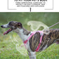 No-Pull Reflective Dog Harness Vest