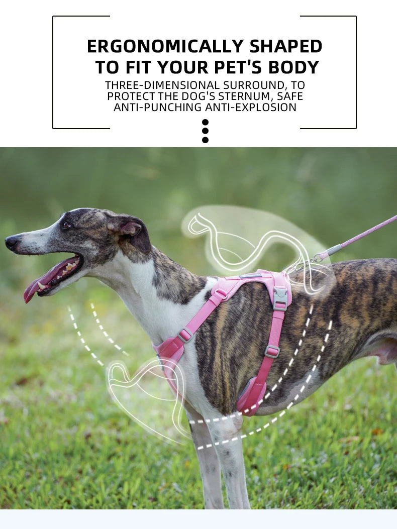 No-Pull Reflective Dog Harness Vest