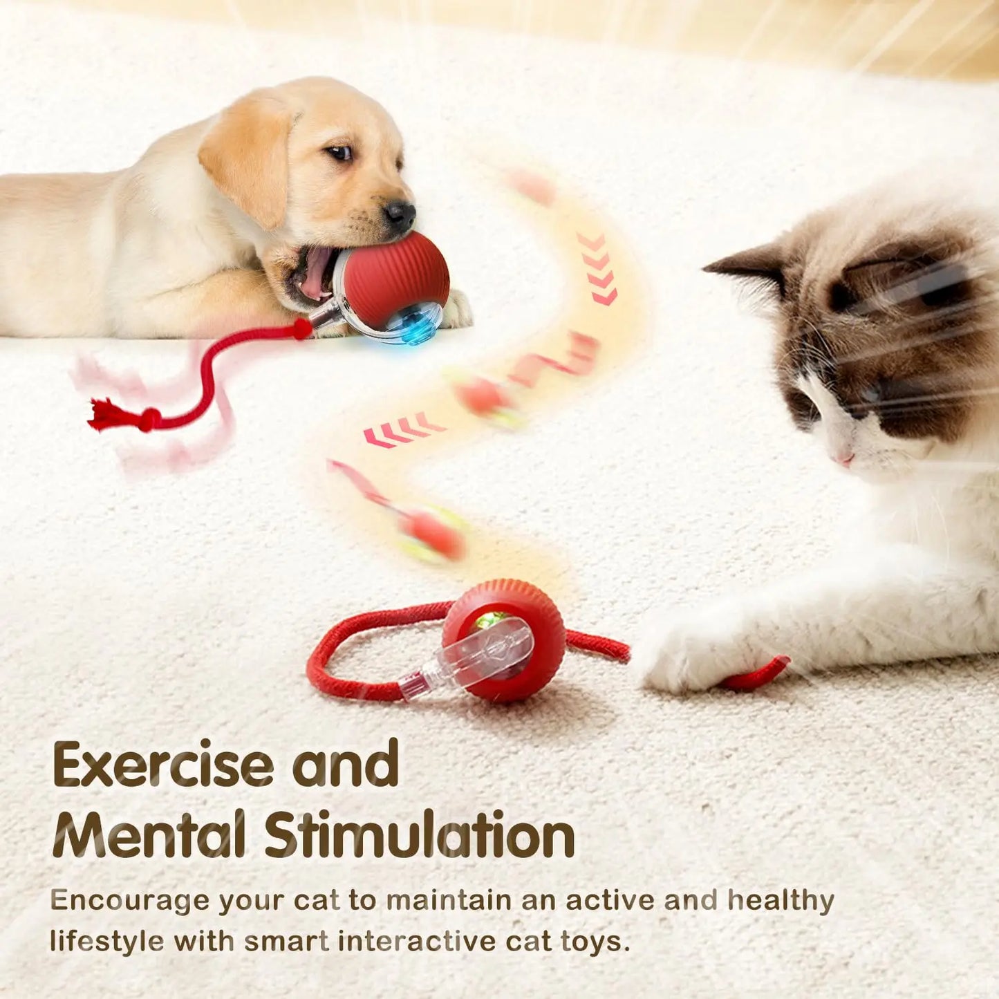 Rechargeable Cat Interactive Rolling Ball Toy