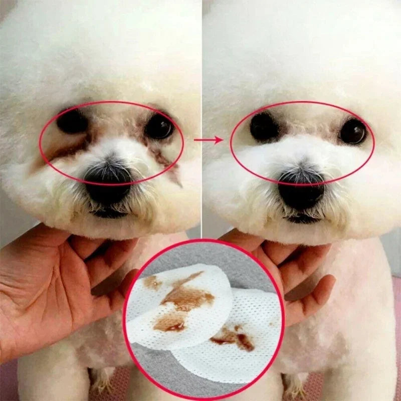 130pcs Pet Eye Cleaning Wipes