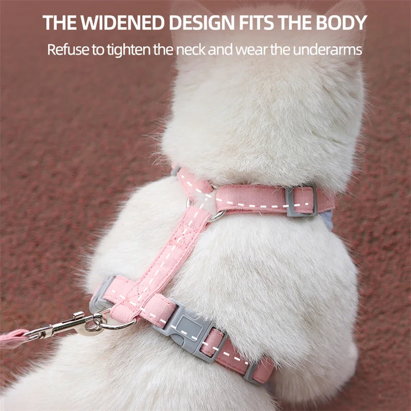 Fashionable Pet Harness & Leash Set