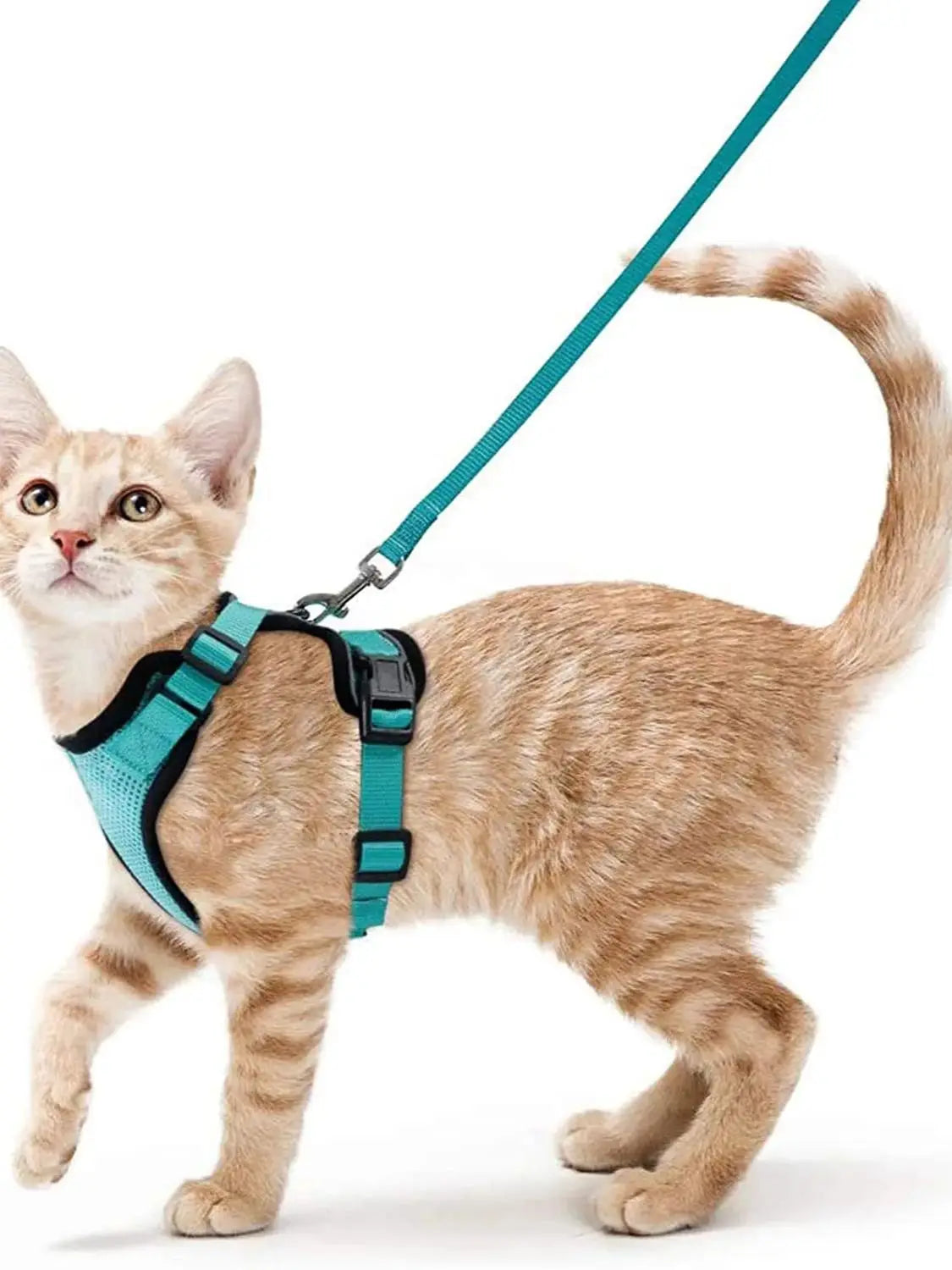 Escape-Proof Adjustable Cat Harness & Leash