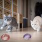 Interactive Cat Toy Balls with Springs