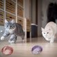 Interactive Cat Toy Balls with Springs