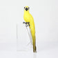 Handmade Feather Parrot Lawn Ornament
