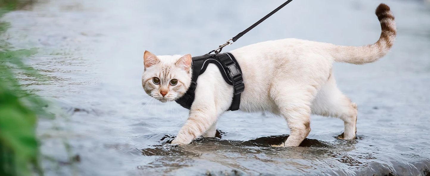 Escape-Proof Adjustable Cat Harness & Leash