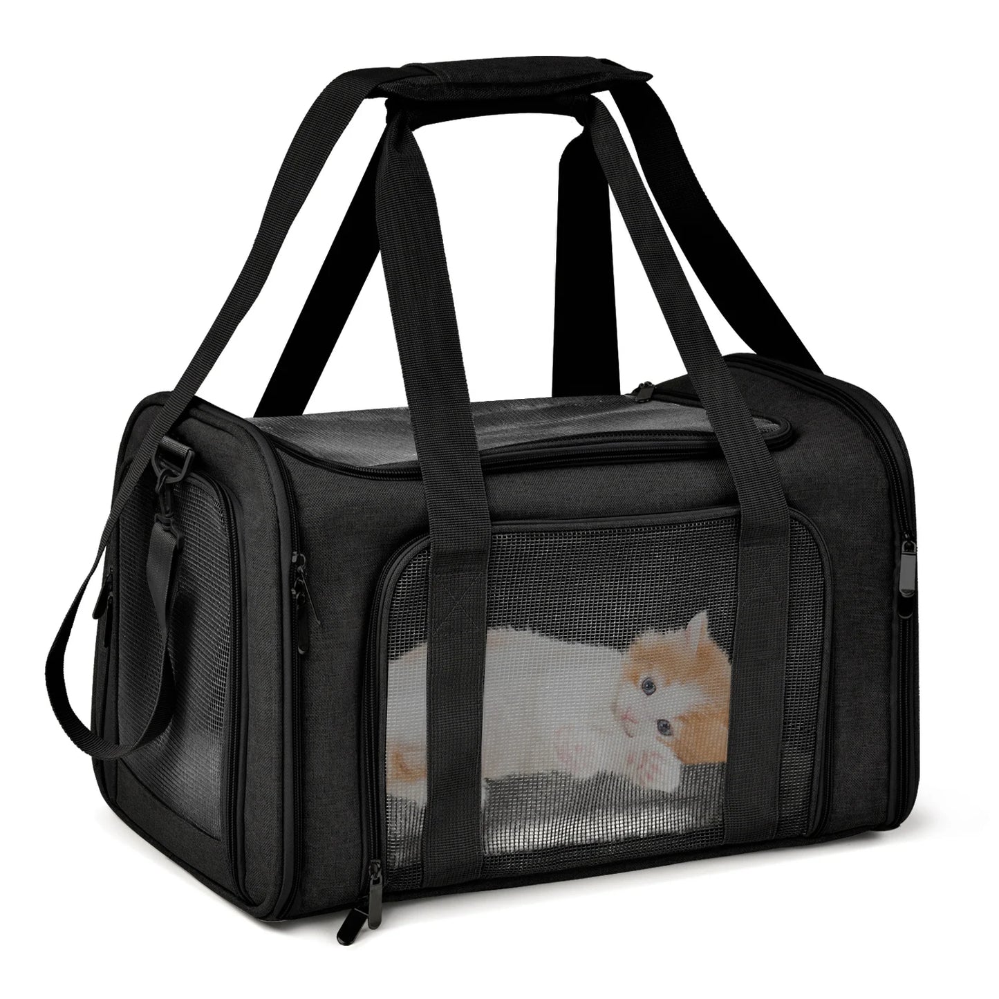 Soft-Side Pet Carrier Backpack