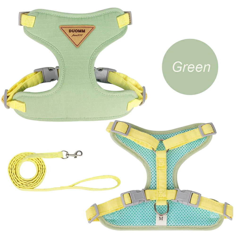 Fashionable Pet Harness & Leash Set