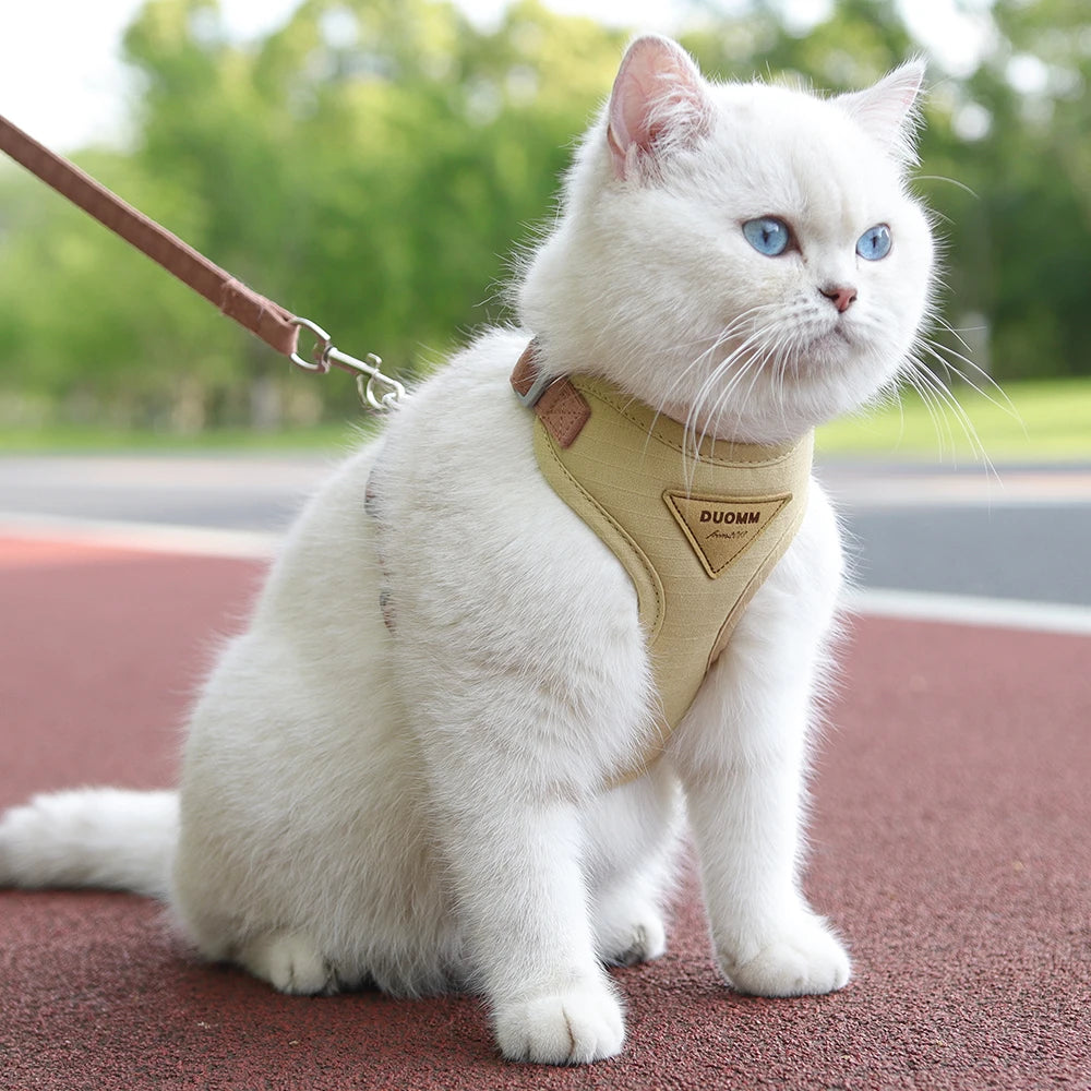 Fashionable Pet Harness & Leash Set