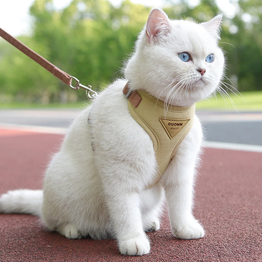Fashionable Pet Harness & Leash Set