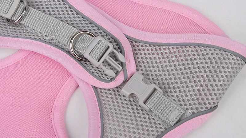 Adjustable Dog Harness & Leash Set
