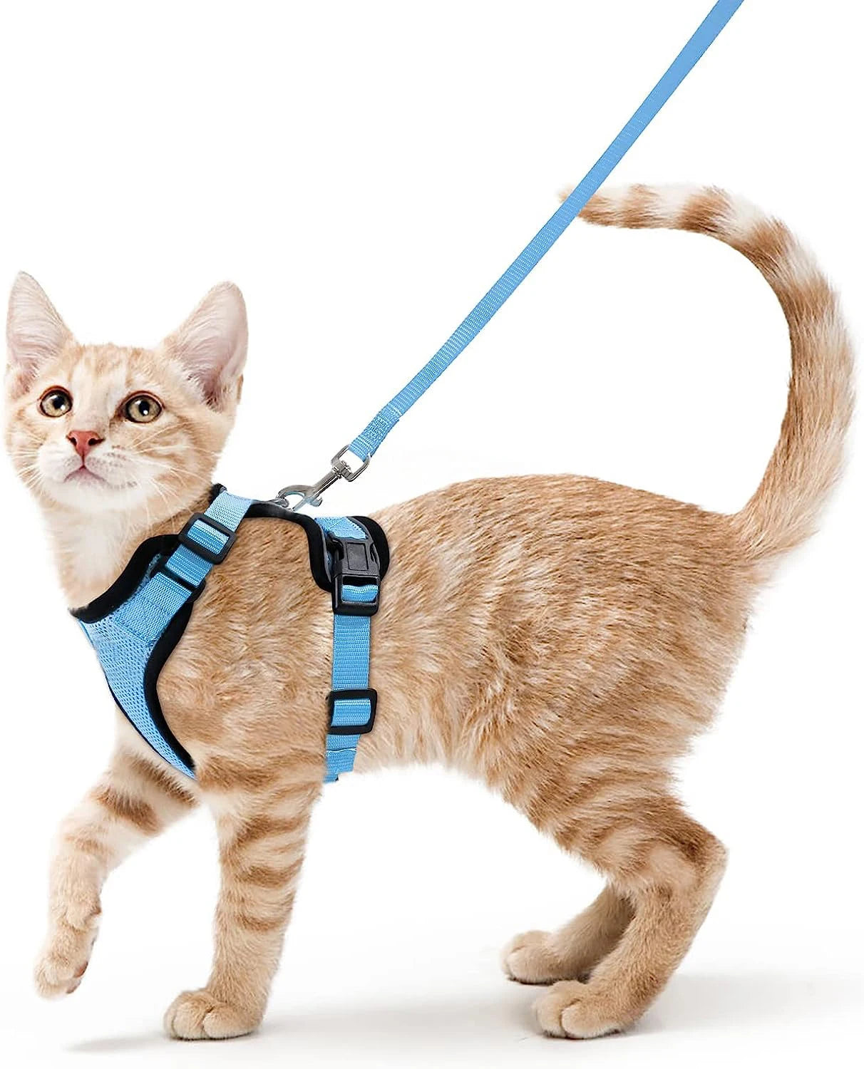 Escape-Proof Adjustable Cat Harness & Leash