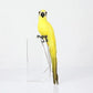 Handmade Feather Parrot Lawn Ornament
