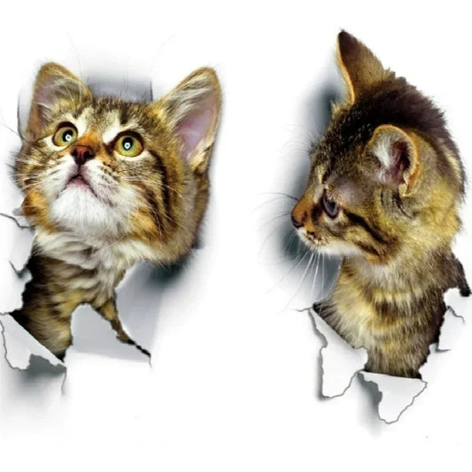 3D Cute Cat Removable Wall Sticker