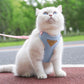 Fashionable Pet Harness & Leash Set