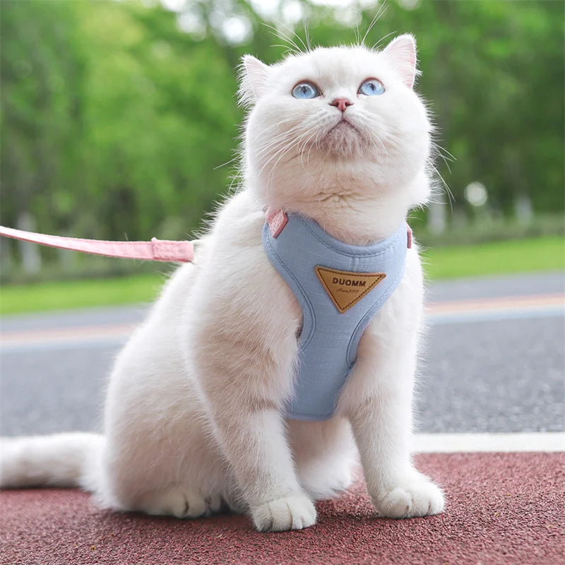 Fashionable Pet Harness & Leash Set