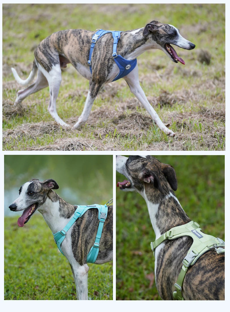 No-Pull Reflective Dog Harness Vest