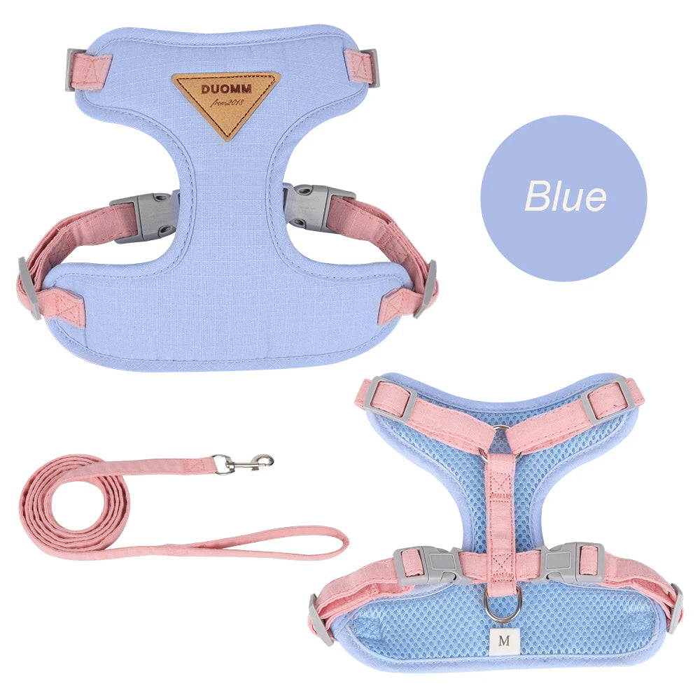Fashionable Pet Harness & Leash Set