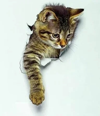 3D Cute Cat Removable Wall Sticker