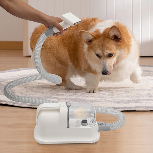 3-in-1 Pet Hair Grooming Tool Set