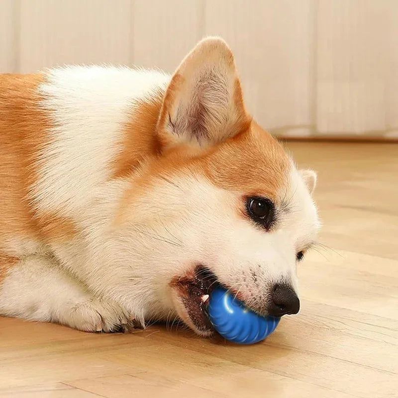 Smart Interactive Moving Dog Toy Ball