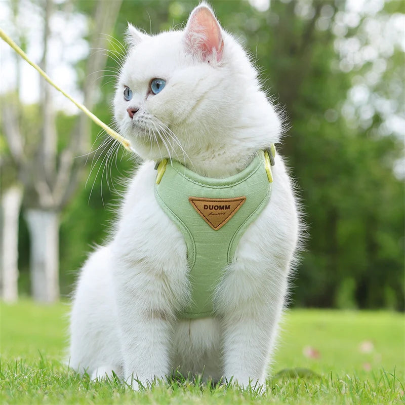 Fashionable Pet Harness & Leash Set