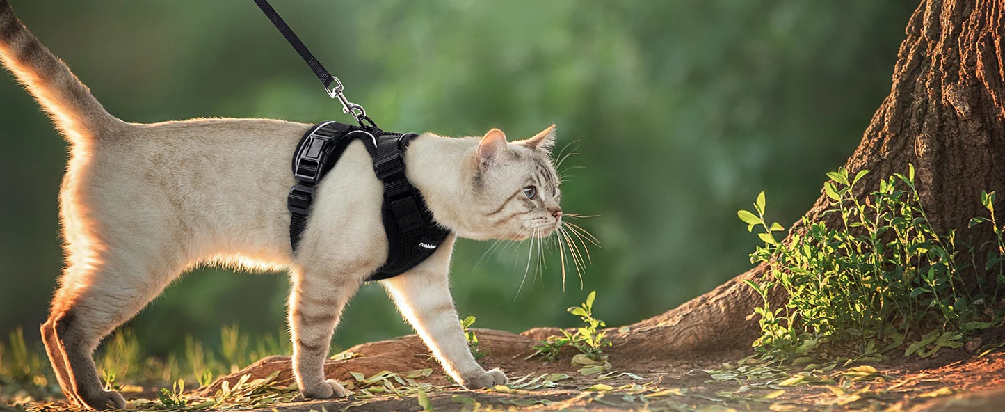 Escape-Proof Adjustable Cat Harness & Leash