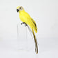 Handmade Feather Parrot Lawn Ornament