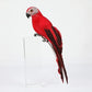 Handmade Feather Parrot Lawn Ornament