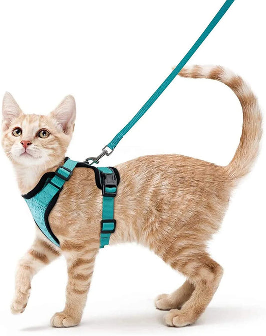 Escape-Proof Adjustable Cat Harness & Leash
