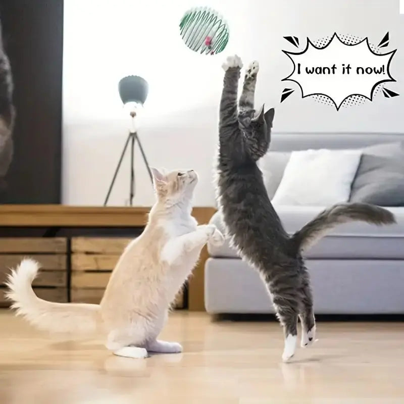 Interactive Cat Toy Balls with Springs