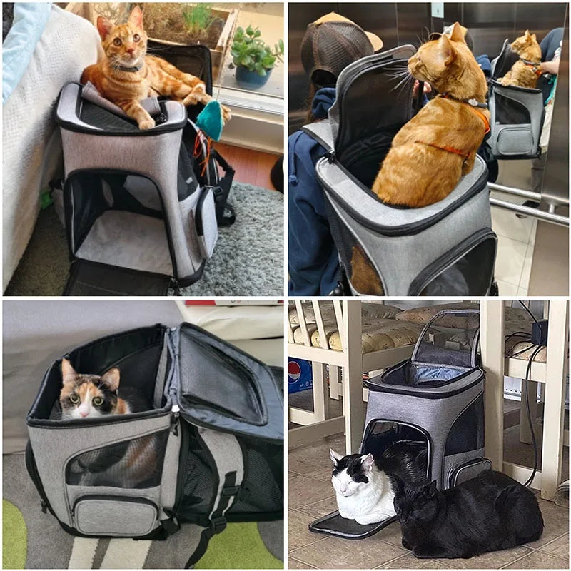 Breathable Foldable Pet Carrier Backpack